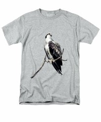 Osprey Fine Art Print Graphic Tee T-shirt Unisex XS S M L XL 2XL 3XL