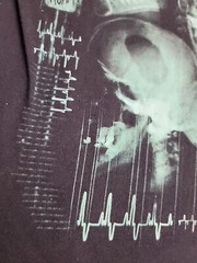 Korn Path Totality Shirt Mens Large Bay Island Sportswear Skull X Ray Band Music