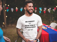 Mens Am I Perfect No T Shirt Funny Sarcastic Graphic T shirts Humor Shirts