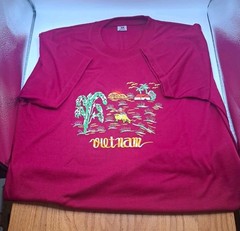 Embroidered Vietnam T Shirt Size M Lovely