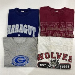 Wholesale Lot of 20 Men’s Sports Tee Shirts (Size Breakdown in Desc)