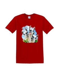 T-shirt small to 3xL – LLAMA SELFIE funny animal – adult humor