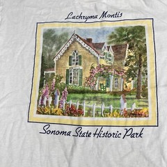 VTG 90s Fruit of the Loom Lachryma Montis Sonoma Park Art Sports T Shirt Xl