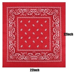 Tergy 30PCS Bandanas Unisex Paisley Bandanas Bulk Multi-Purpose Headband Cowb…