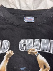 WWF Vintage 90’s Stone Cold Steve Austin World Champion Mens XL T Shirt WWF