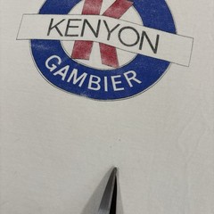 Vintage Kenyon Gambier Liberal Arts School T Shirt Sz L 80s 90s USA Ohio