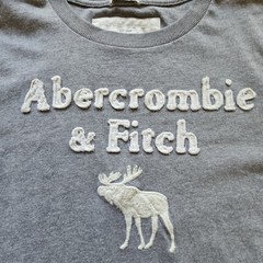 Vtg Y2K Abercrombie & Fitch Mens XL Muscle Big Moose T-Shirt Grey Applique Tee