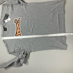 Le Tigre Men’s Flocked Big Tiger Graphic T-Shirt Cotton Long Sleeve Gray Size XL