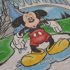 Vintage Disney Splash Mountain Shirt Mens Large Mickey Mouse Retired Ride Tee