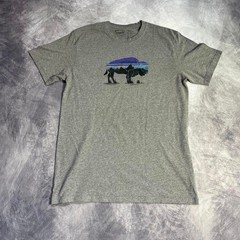 Patagonia grey graphic tee