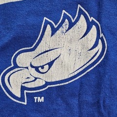 Florida Gulf Coast University Blue Long Sleeve Cotton T-Shirt Men’s 2XL