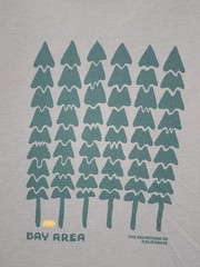 REI Co-op Bay Area Graphic T-Shirt Men’s X-Large Gray “A Wilderness Spirit”