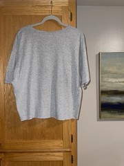ALstyle Men’s XL Gray Crew Neck Short Sleeve Save Ferris Graphic crop distressed