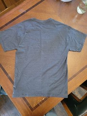Champion Classic Jersey Script T-Shirt for Men, Size M – Gray