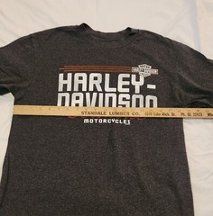 Harley Davidson Geneve Switzerland Flame Dice Short Sleeve T-shirt D. Gray – M