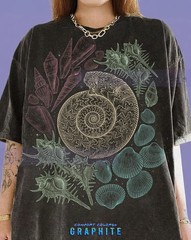 Vintage Seashell Ammonite Marine Life Comfort Tee