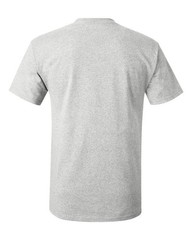 Hanes Unisex Authentic T-Shirt 5250 Ash/Light Grey Heather 3XL