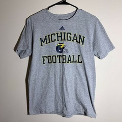 Adidas Men’s Michigan The Go To Tee M