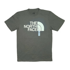 The North Face Short Sleeve Half Dome Tee Size Small New Taupe Green Gorpcore