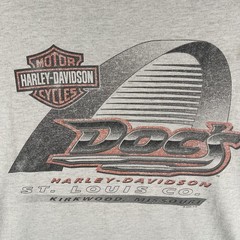 Vintage Harley-Davidson Shirt Mens Large Gray Doc’s St Louis Biker Tee Y2K Spots