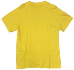 Florida Wildlife Dolphin Turtle Lizard T-shirt Size Medium Yellow Excellent!