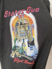 Vintage 1980s Status Quo 1989 Perfect Remedy Tour Band Rare T Shirt