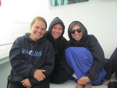 Adult Size Large, Navy Blue SEACAMP San Diego Logo Hooded Sweatshirt, Unisex