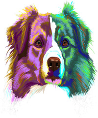 Colorful Splash English Shepherd Cute Dog Lover Gift for Men Shirt