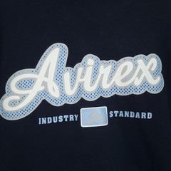 Avirex Shirt Mens XL Blue Colorblock Industry Standard Logo Graphic Tee Y2K