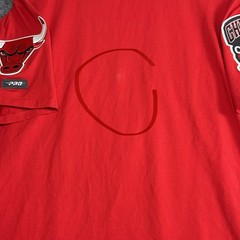 Chicago Bulls NBA CHAMPIONSHIP T-Shirt~Men’s XL~Pro Standard Red Crew neck
