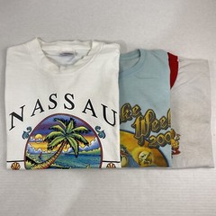 Wholesale Lot of 30 Modern/Vintage Mix Short Sleeve Tee Shirts (Sizes In Desc)