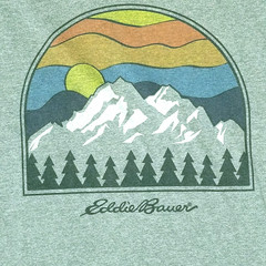 Eddie Bauer Shirt Men XL Gray Mountain Nature Outdoor Graphic Tee Cotton Blend