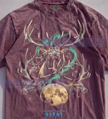 Moose Wildlife Northern Lights Aurora Comfort Tee