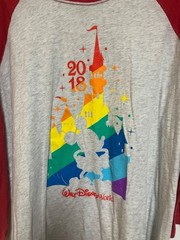 Walt Disney World Men’s 2018 T Shirt 3/4 Sleeve Gray and Red Size XXL