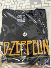 LED ZEPPELIN MENS BLOCK T SHIRT