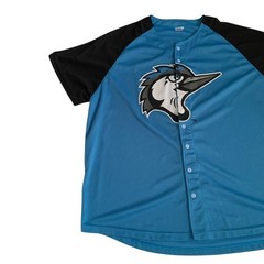 Success Brand MiLB Adult Men’s Size XL Fayetteville Woodpeckers #22 Mesh Jersey
