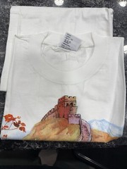 I Climbed The great Wall Of China T Shirt Size 105?