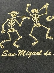 Yacht Club San Miguel de San Allende Skeleton Playing Instruments T-Shirt Medium