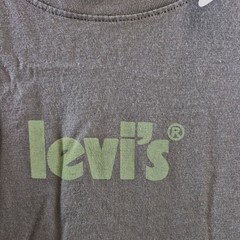 Levis Relaxed Fit Graphic T Shirt Men’s XL Olive Green NWT Crew Neck