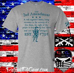 t shirt,The Second Amendment,A Well Regulated Militia,Molon Labe,2A,Guns,NRA