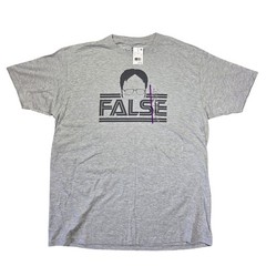 The Office Dwight Schrute False Graphic T-Shirt Mens XL Gray Ripple Junction NWT