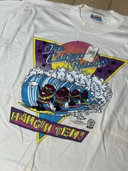 NWT Vintage 80s 90s California Raisins Hangin Ten Single Stitch T Shirt L Target