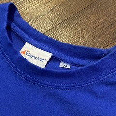 Carnival Cruise Lines Blue T Shirt Mens M Crewneck Isla Roatan Retro 90s Vintage