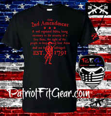 t shirt,The Second Amendment,A Well Regulated Militia,Molon Labe,Guns Rights,2A