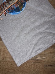 Universal Studios Florida Globe T-Shirt Gray Size M, excellent cond’n