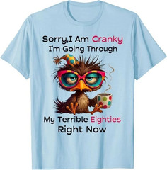 Sorry I Am Cranky I’m Going Through My Terrible Eighties T-Shirt 1