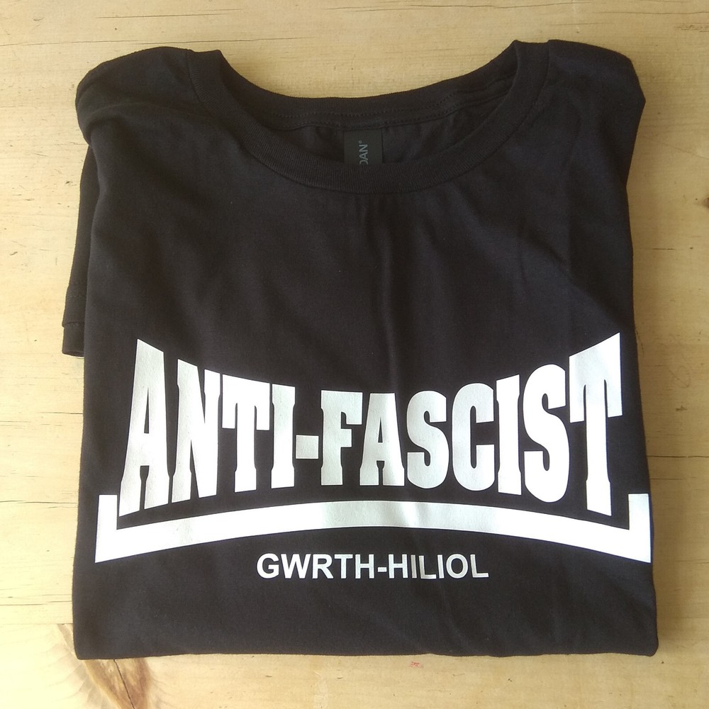 Anti Fascist Protest T-Shirt – Political, Custom Print, Various Colours, S-XXL