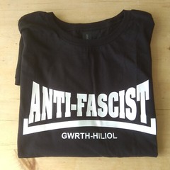Anti Fascist Protest T-Shirt – Political, Custom Print, Various Colours, S-XXL