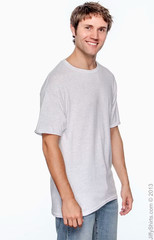 Hanes 5170 – 50/50 Ecosmart Short Sleeve Tee – Ash Size Medium
