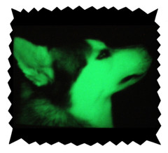 2020 Trendy Hot New Drawable Interactive GLOW T-shirt, Men, Woman, L Get It Now